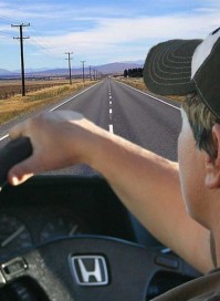 Driver licence translation (NZTA)