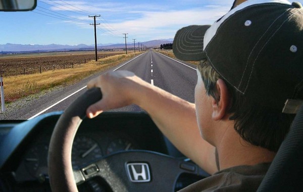 Driver licence translation (NZTA)