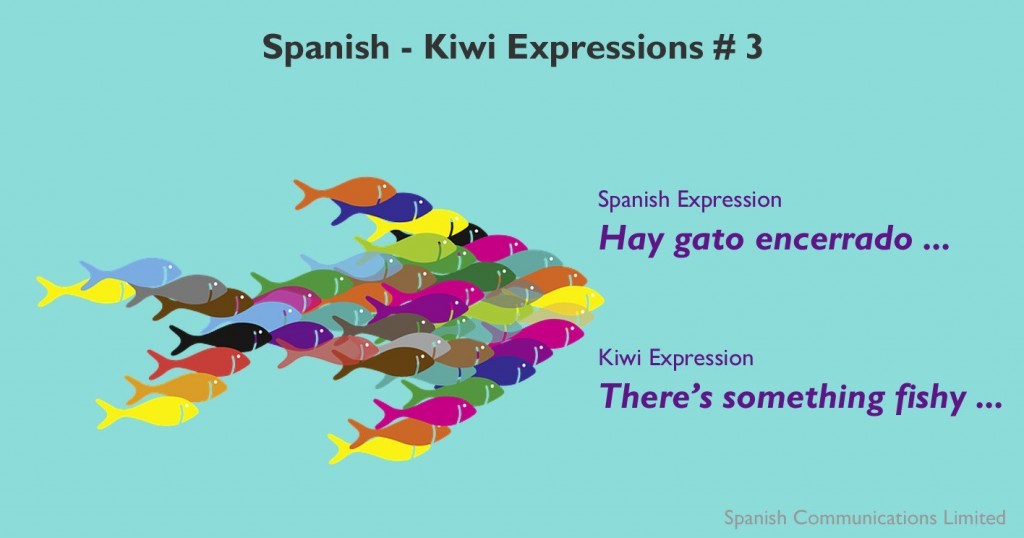 Spanish - kiwi expressions # 3