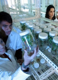 Translation of Scientific Papers