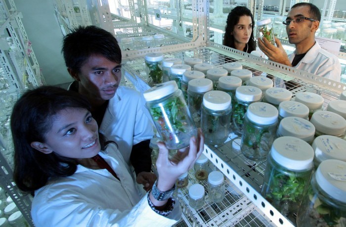 Traducción de documentos científicos